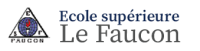 Logo Ecole Supérieur le Faucon