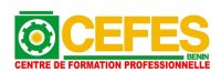 Logo Centre de Formation Professionnelle